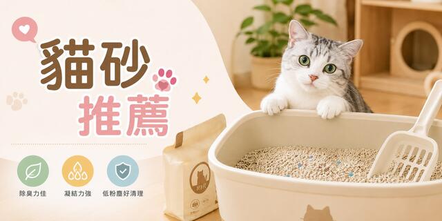 2026貓砂推薦：10款PTT、Dcard討論度高的貓砂整理，礦砂、豆腐砂、花生砂怎麼選