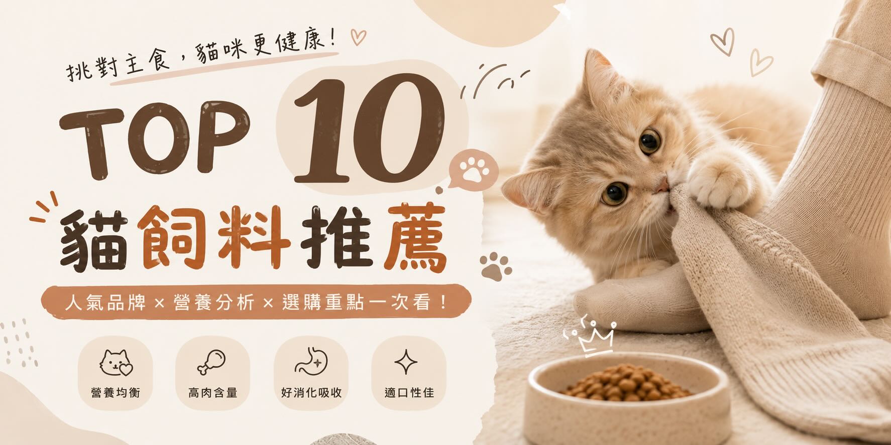 2026貓飼料推薦｜台灣10大品牌比較，成分、年齡與乾濕糧怎麼選？