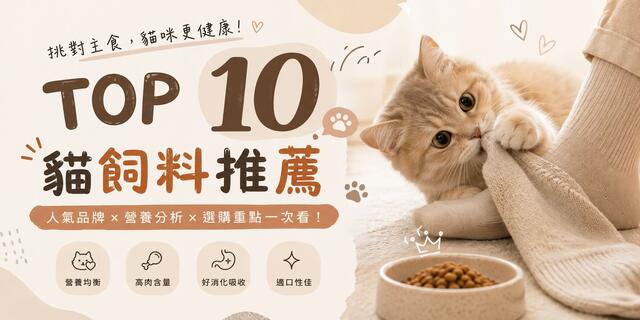 2026年台湾おすすめキャットフードトップ10｜愛猫に最適な栄養を選ぼう