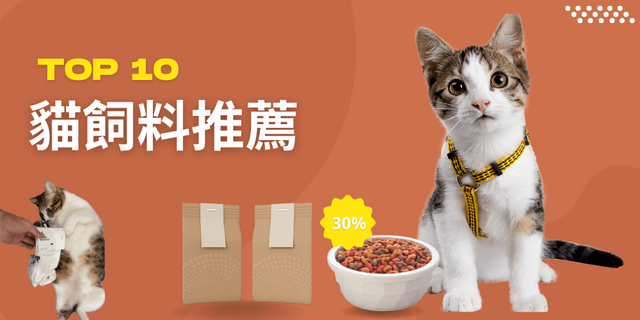 2026 Taiwan Top 10 Cat Food Recommendations | Choose the Best Nutrition for Your Cat